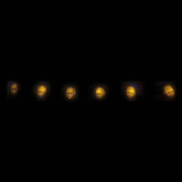 S1123190_1