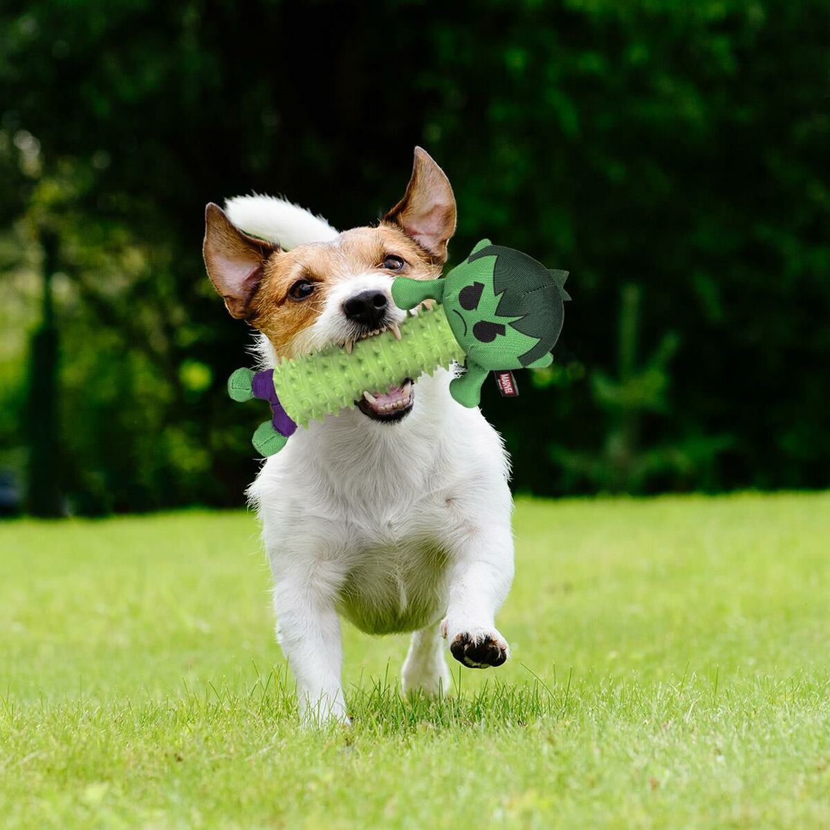 Giocattoli per cani The Avengers Verde 100 % poliestere 6 S0734858_4