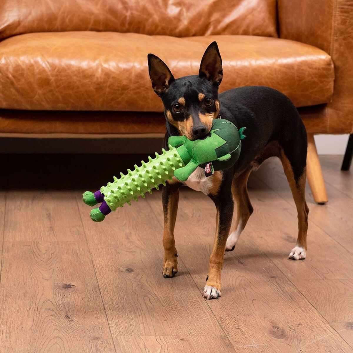 Giocattoli per cani The Avengers Verde 100 % poliestere 9 S0734858_7