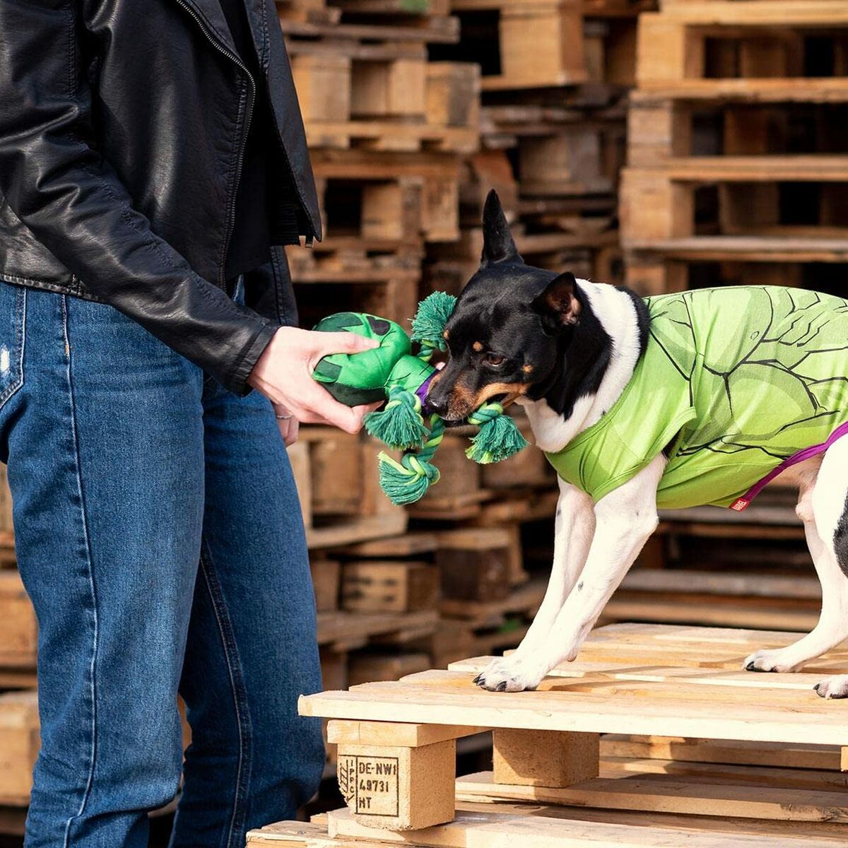 Giocattoli per cani The Avengers Verde 100 % poliestere 18 S0734879_16