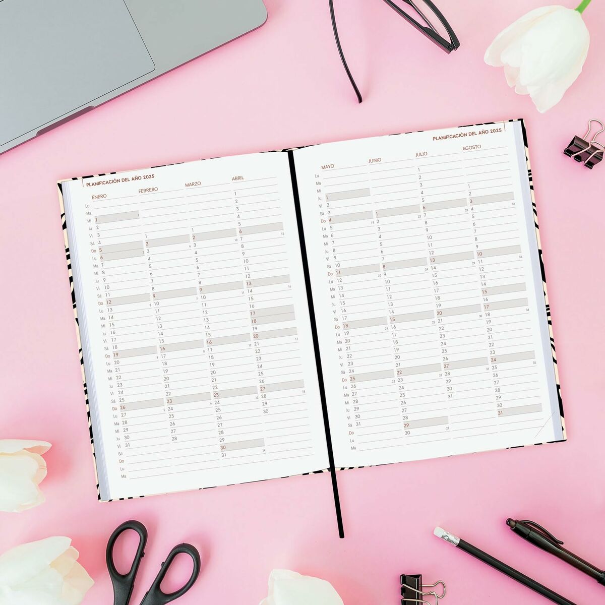 Agenda Finocam DYNAMIC BERLIN Y10 A5 14 x 20,4 cm 2025 5 S8437056_3