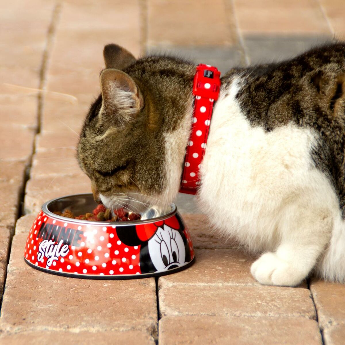 Ciotola per cani Minnie Mouse Melammina 410 ml Multicolore Poliestere Metallo 6 S0734838_4