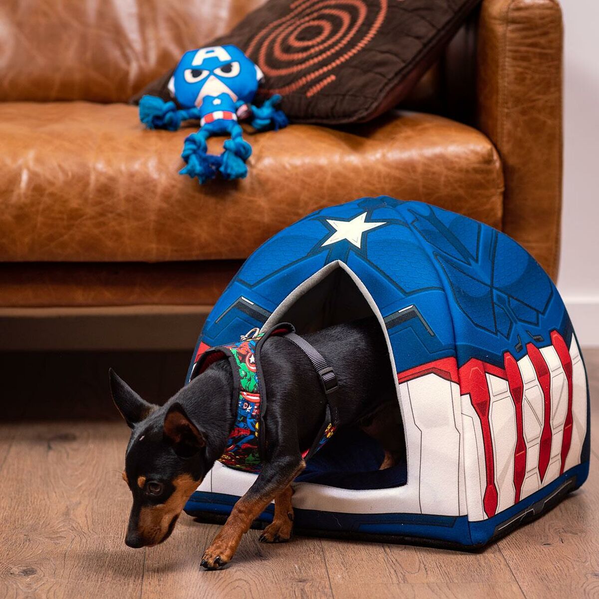 Giocattoli per cani The Avengers Azzurro 13 x 10 x 20 cm 3 S0734878_1