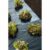 Rete antialga Nature 1 S7105923_0