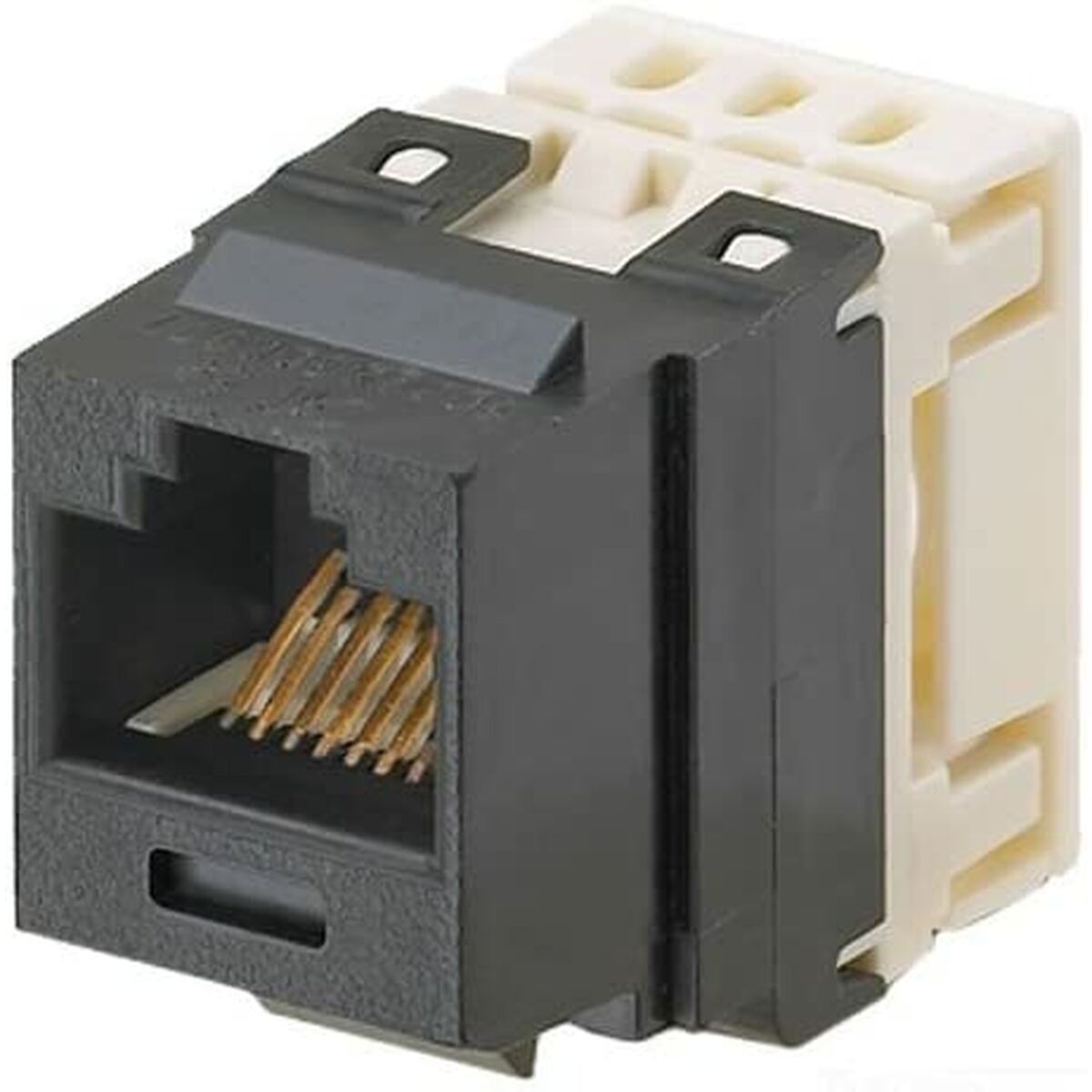 Connettore RJ45 Panduit NK688MBL 2 S7752146_0