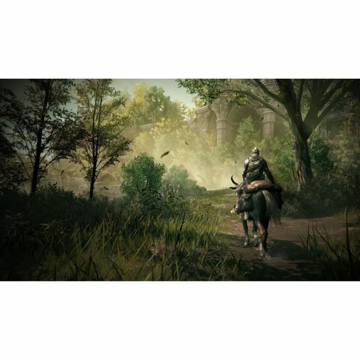 Videogioco PlayStation 5 Bandai Namco Elden Ring: Shadow of the Erdtree 4 S71003410_2