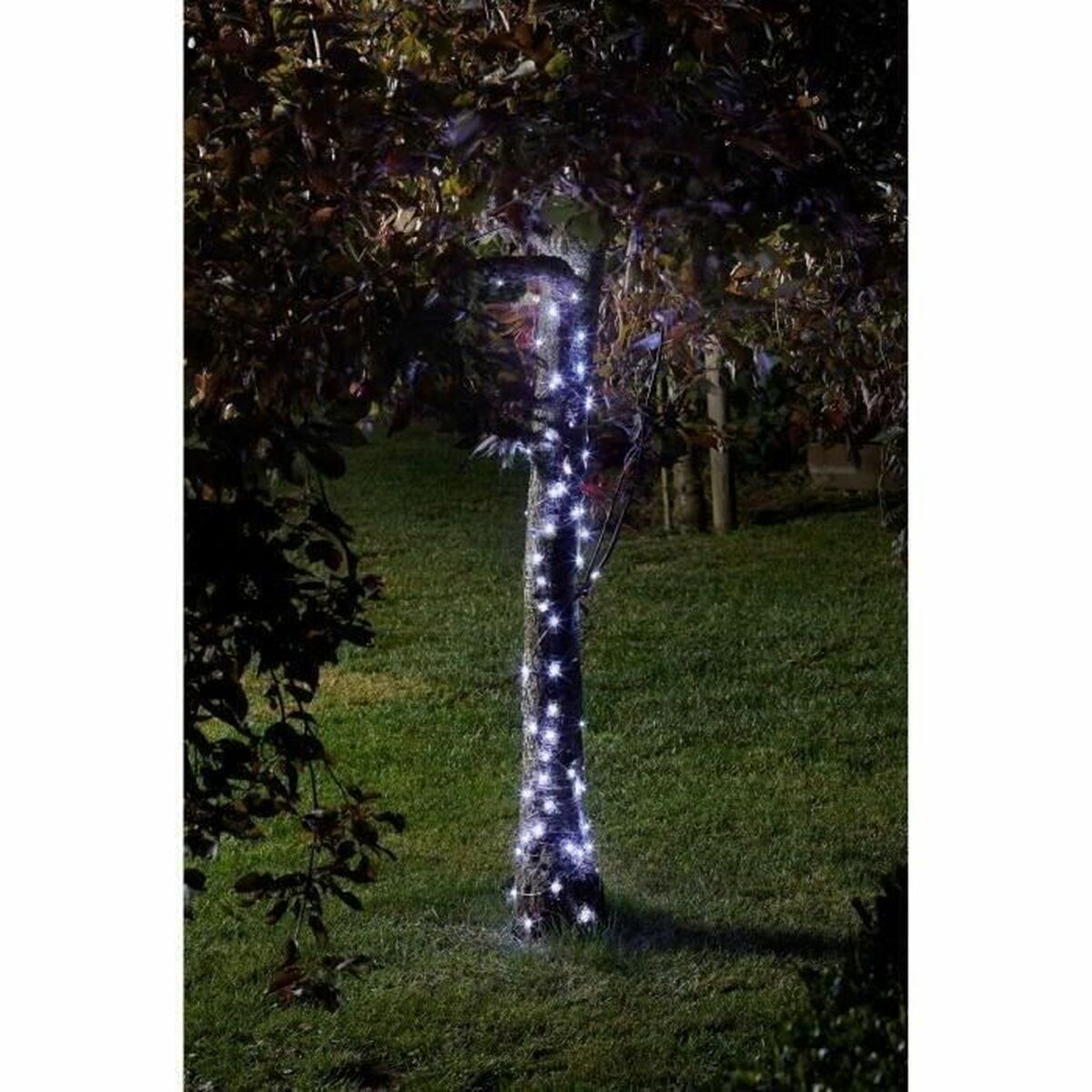 Ghirlanda di Luci LED Super Smart Luciole Luce fredda Bianco 4 S7194419_2