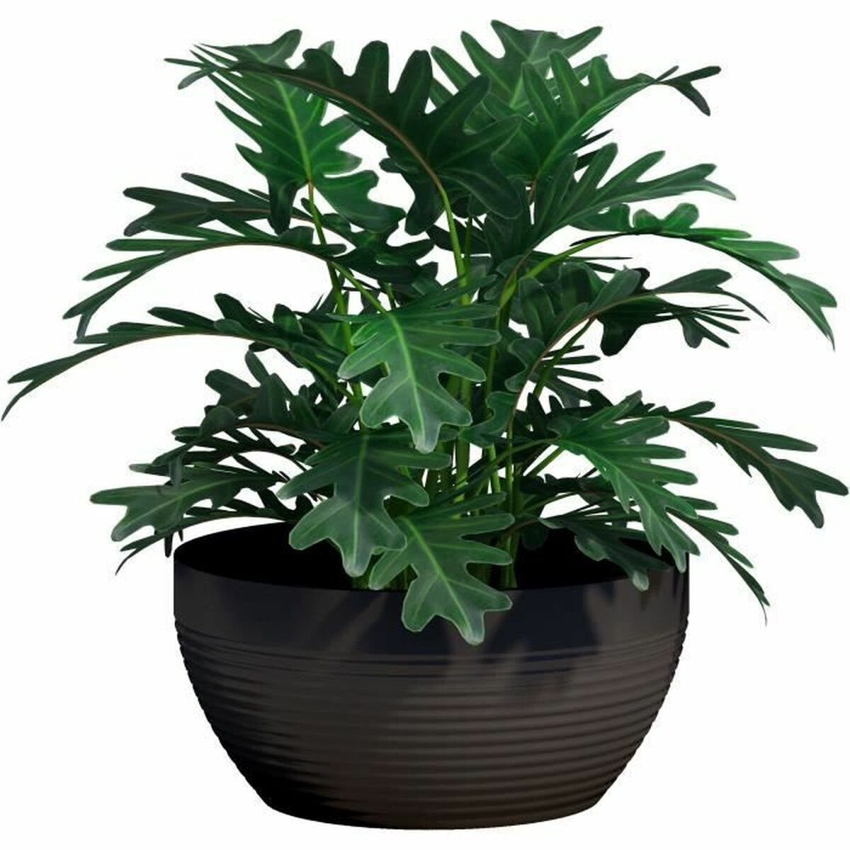 Vaso Garden ID Nero 30 x 14 cm 4 S71009541_2
