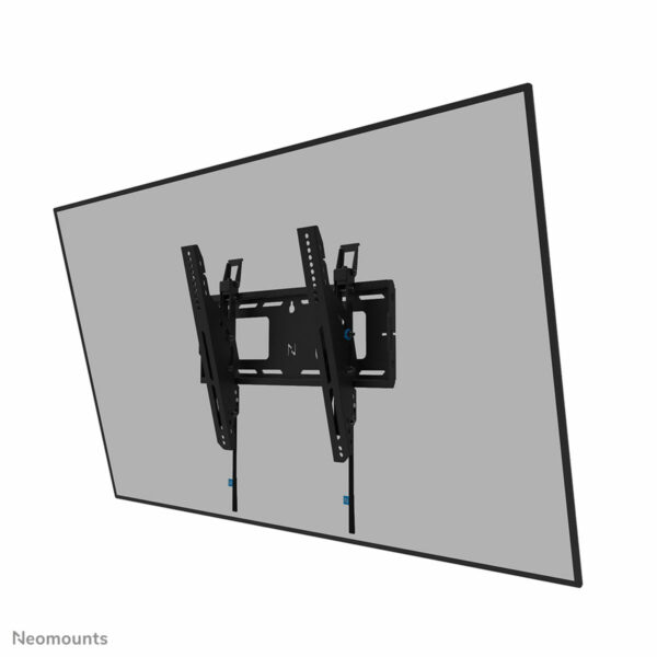 S55284907_2