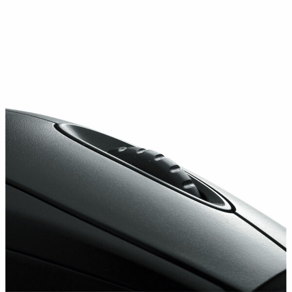 S55160004_2
