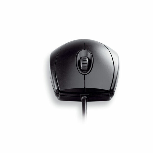 S55160004_1