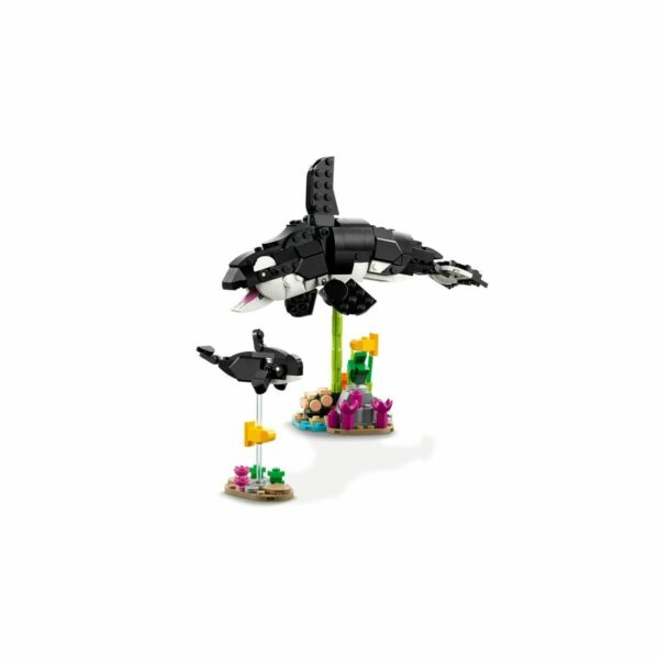 S2453604_5
