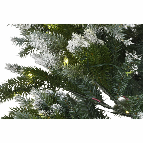 S3058516_1