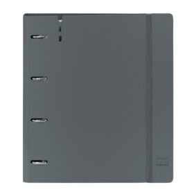 S4310890_0