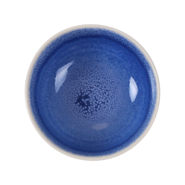 S2234795_3