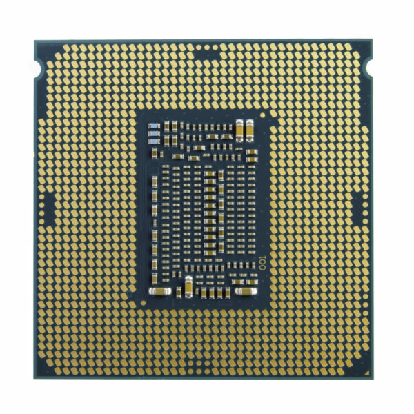 S55074885_2