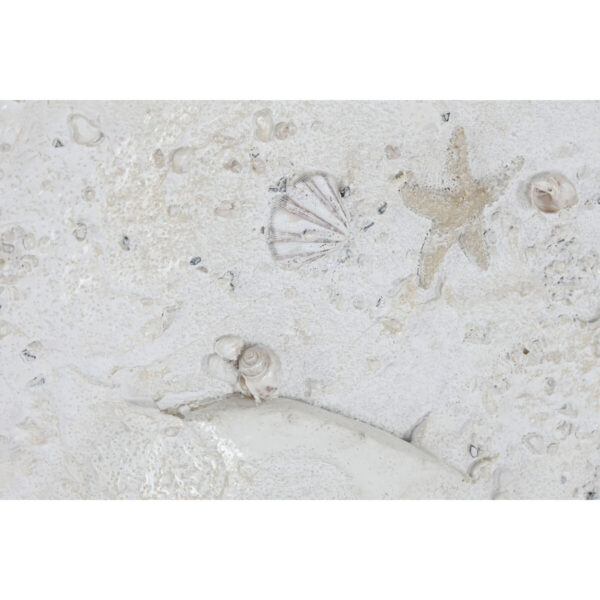 S3059919_2
