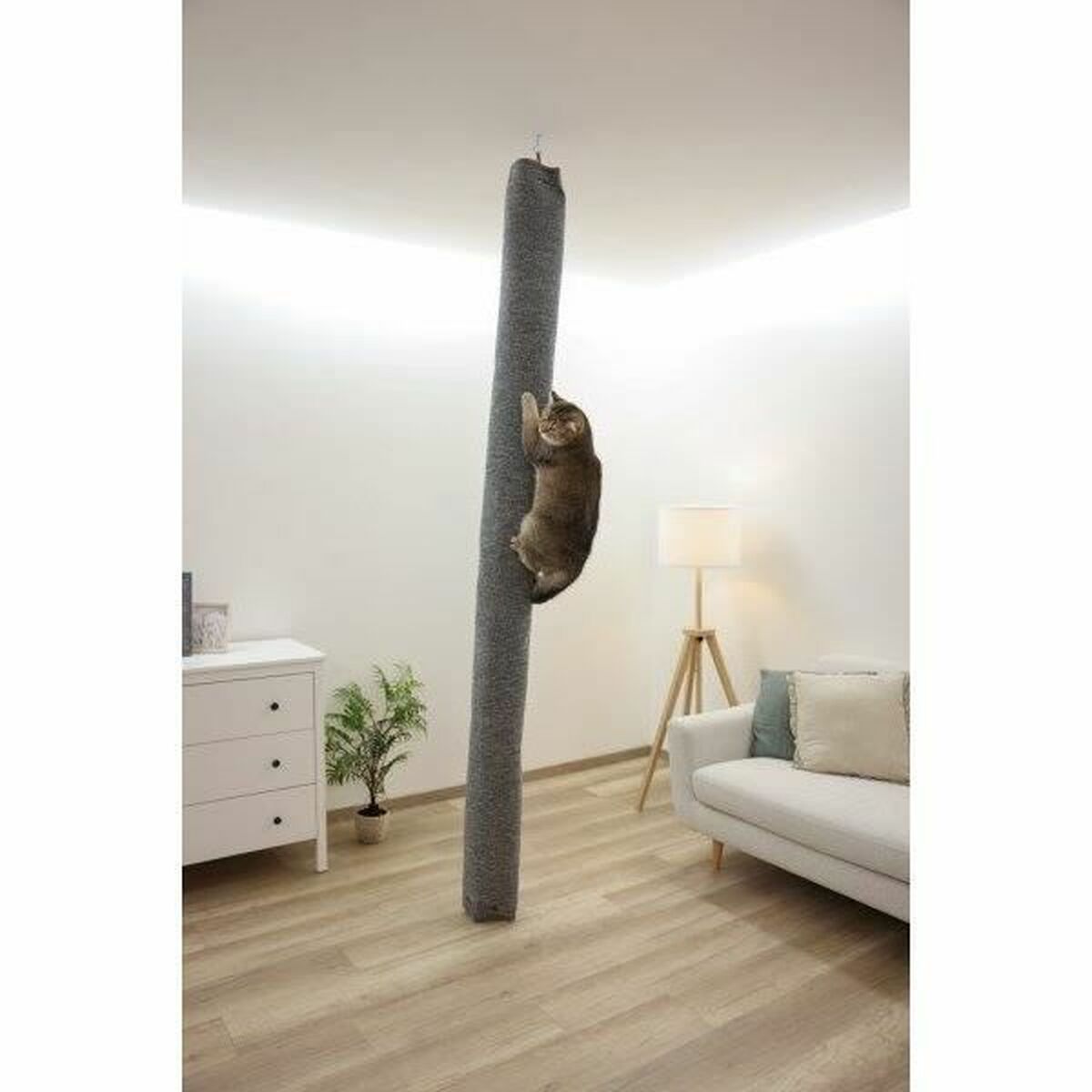 Albero tiragraffi per gatti Kerbl Grigio 7 S71006990_5