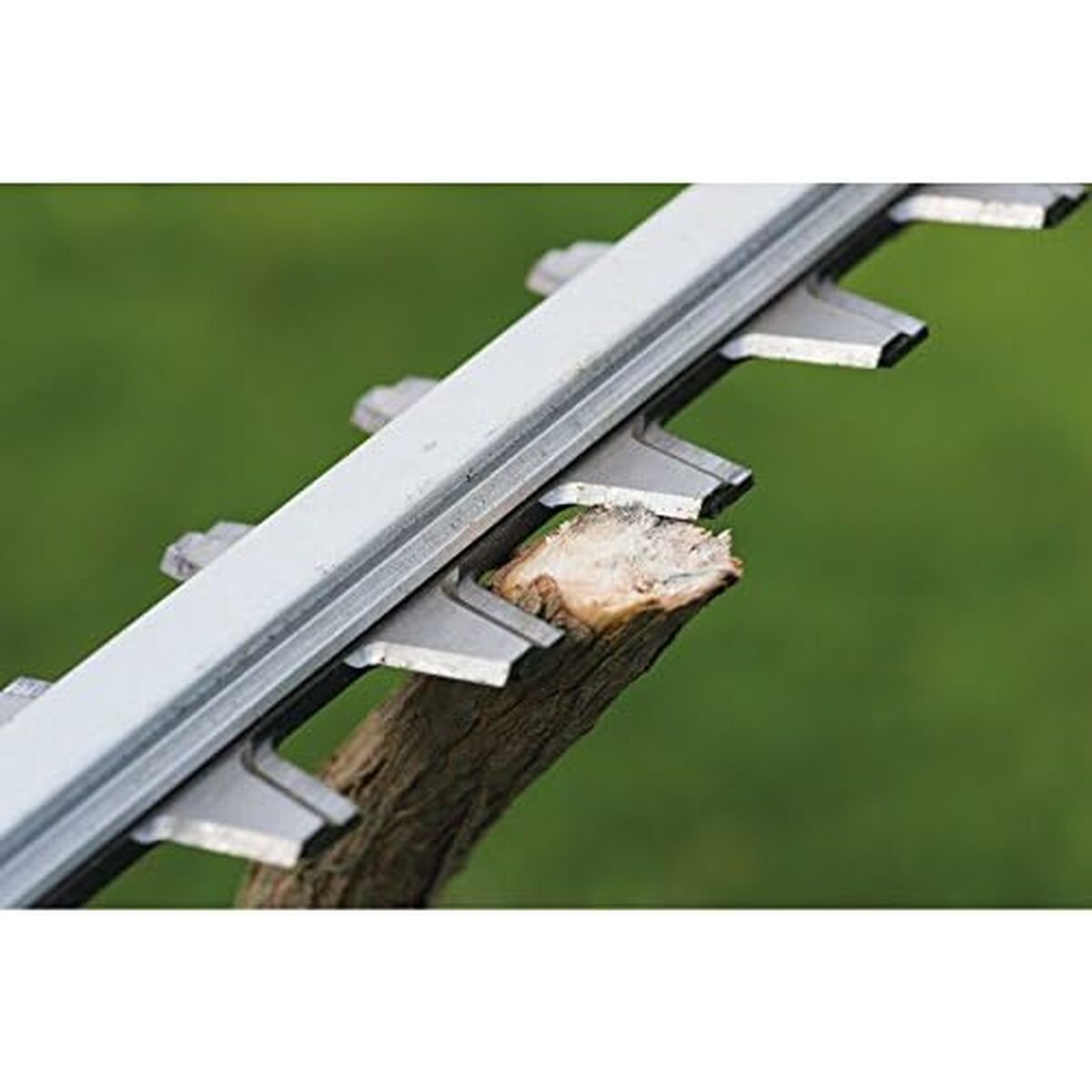 Tagliasiepi Ryobi RHT6160RS 4 S9909788_2