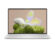 Laptop Dell XPS 13 13,4" Intel Core Ultra 7 258V 32 GB RAM 1 TB SSD Qwerty in Spagnolo 1 S77212500_0