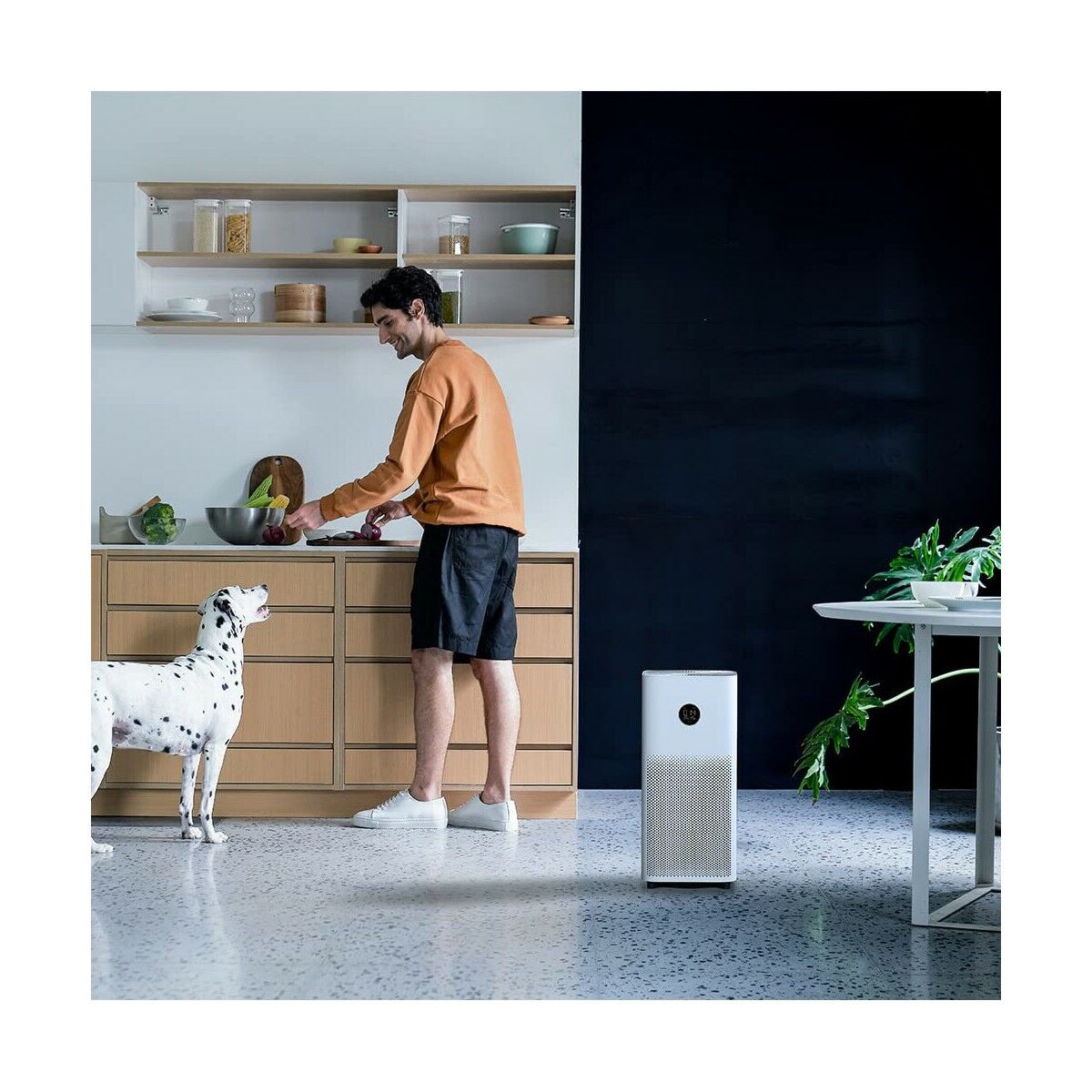 Purificatore dell'Aria Xiaomi SMART AIR PURIFIER 4 10 S8100410_8