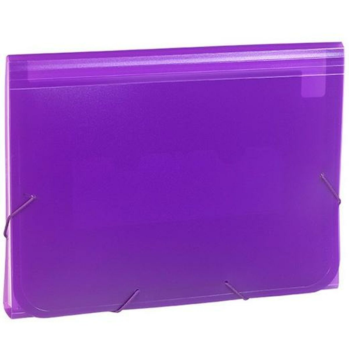 Classificatore Documenti Carchivo 1913KF56 Violetta Din A4 2 S8426274_0