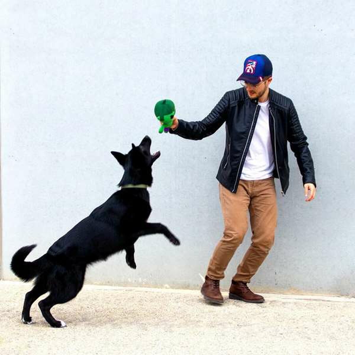 Giocattoli per cani The Avengers 9 S2444081_7