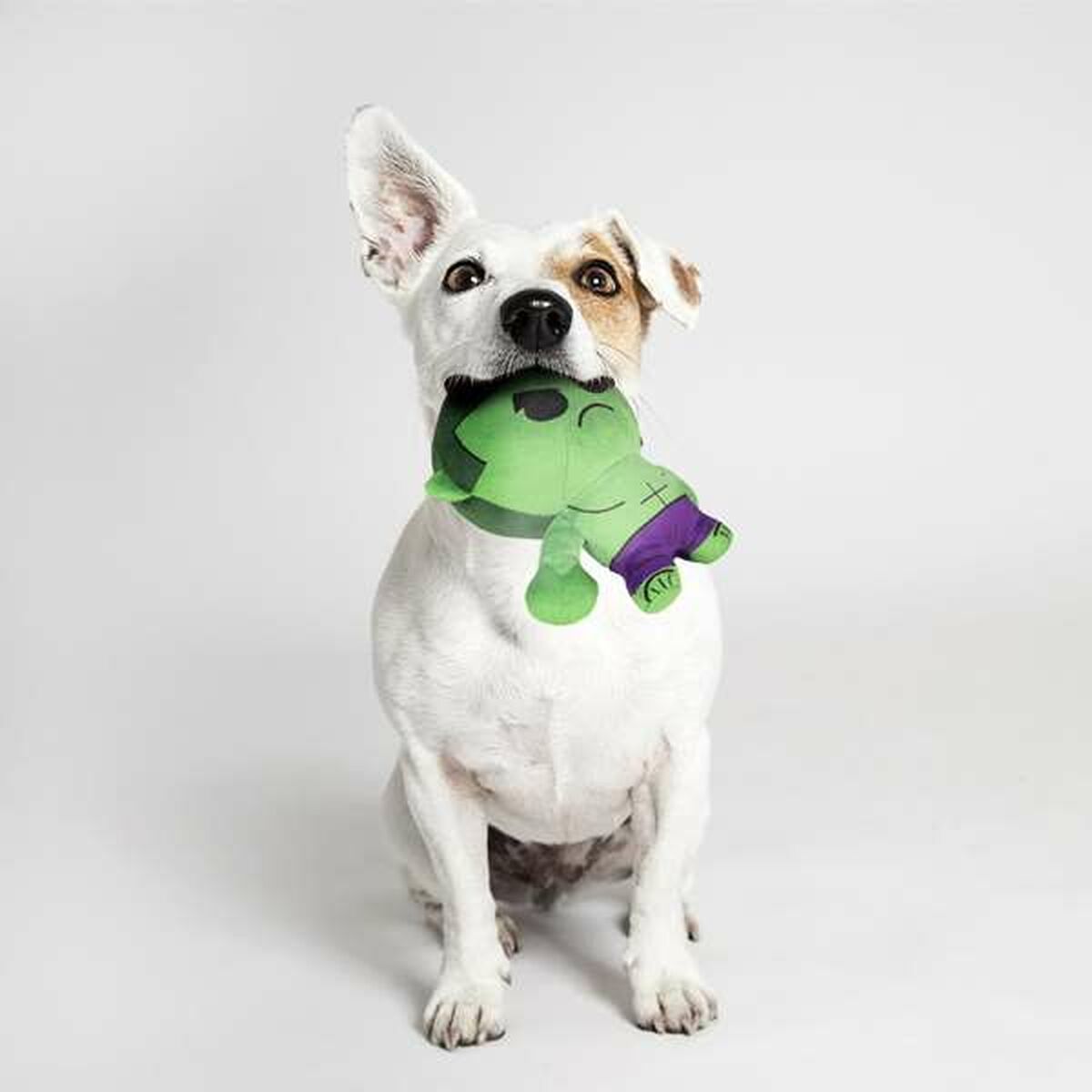 Giocattoli per cani The Avengers 10 S2444081_8