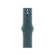Cinturino per Orologio Apple MXL93ZM/A 1 S77207752_0