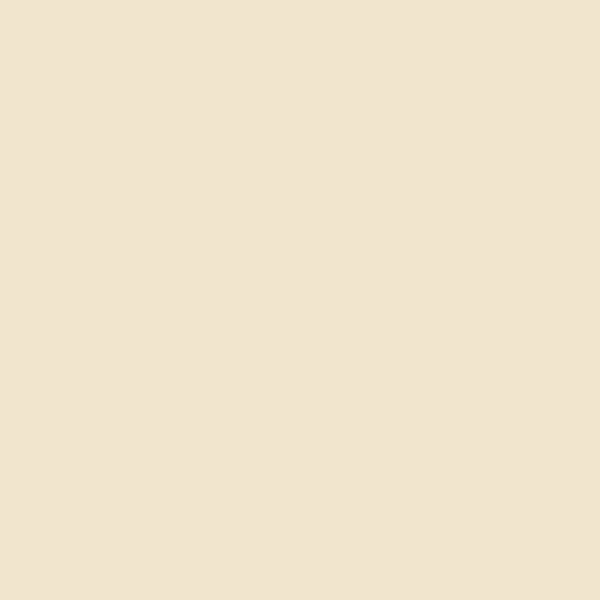 Vernice di Fondo Ripolin Mat 10 L 3 S71014507_1
