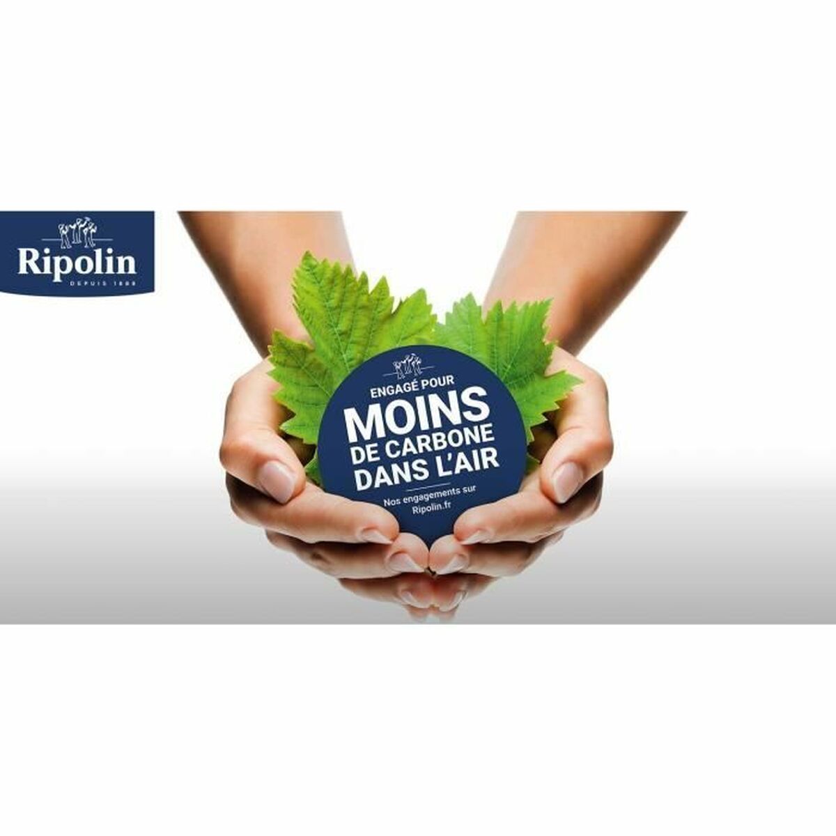 Vernice di Fondo Ripolin Mat 10 L 5 S71014507_3