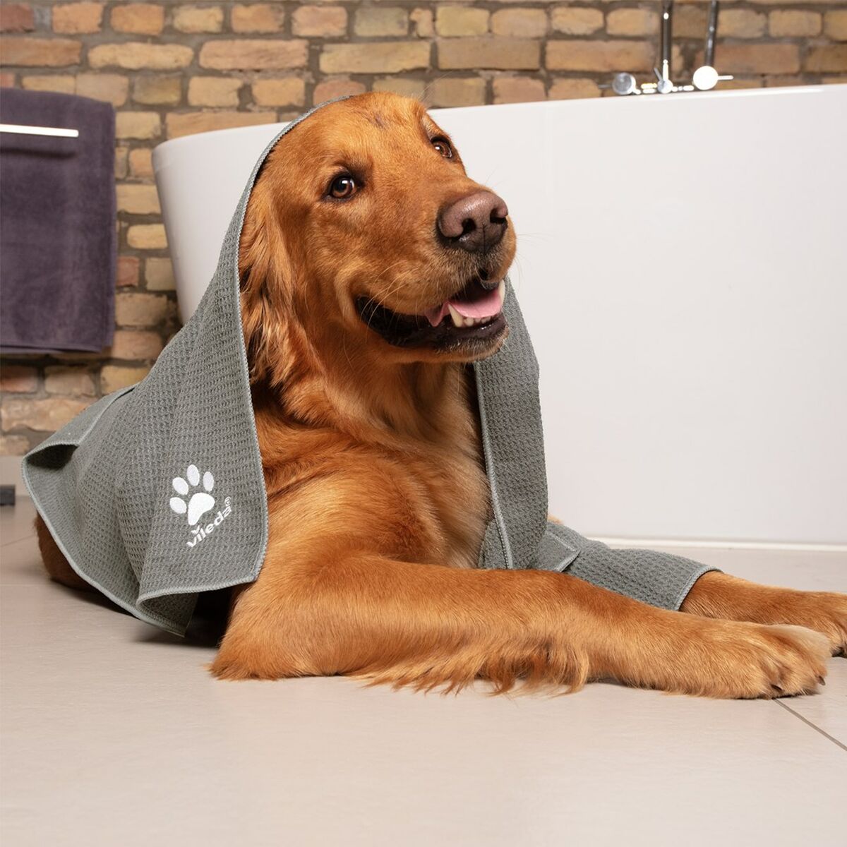 Lame multi-strumento Vileda 172650 6 S9186710_4