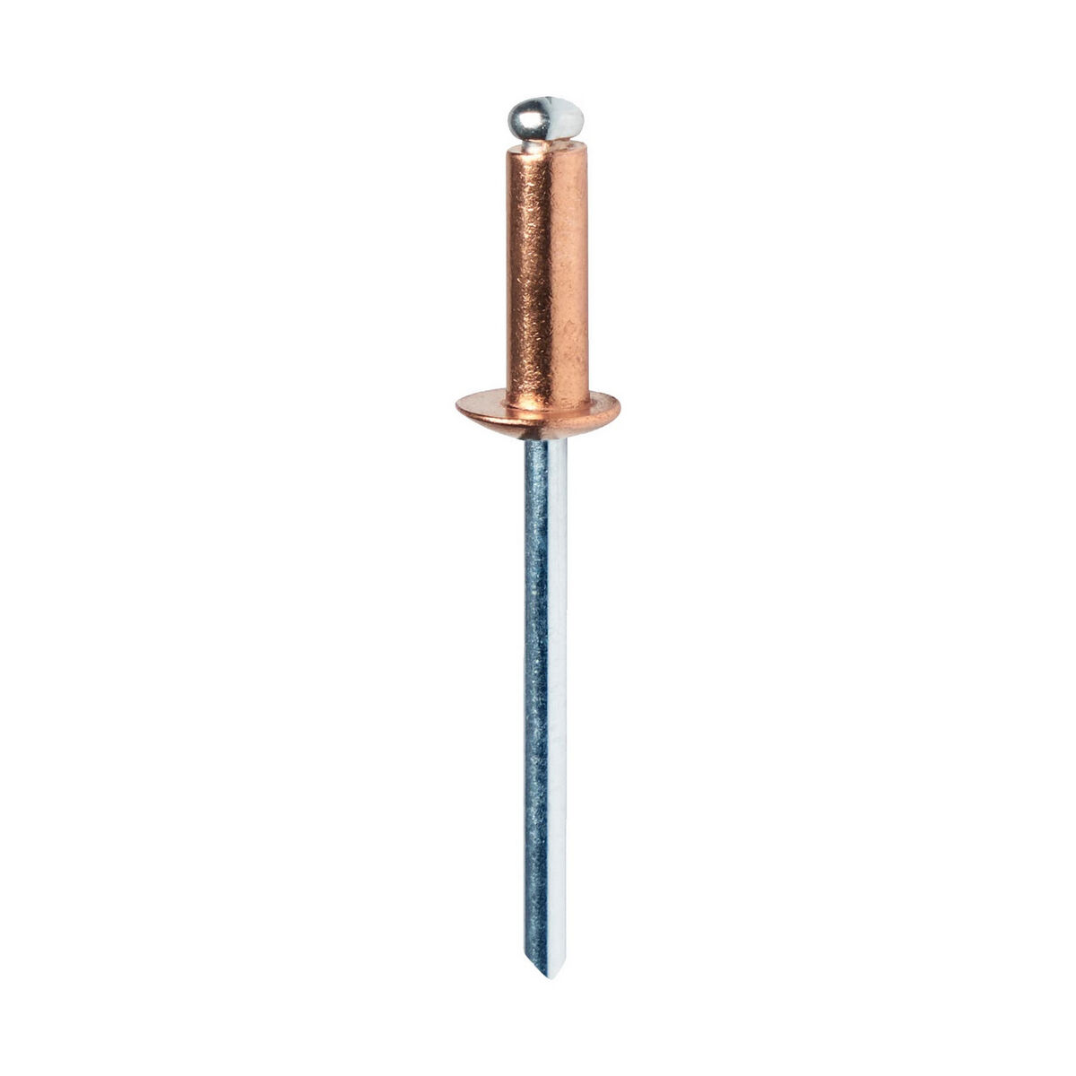 Rivetto Rapid 5001467 Punta da trapano Ø 4,8 x 12 mm Rame Alluminio (50 Unità) 4 S7918132_2