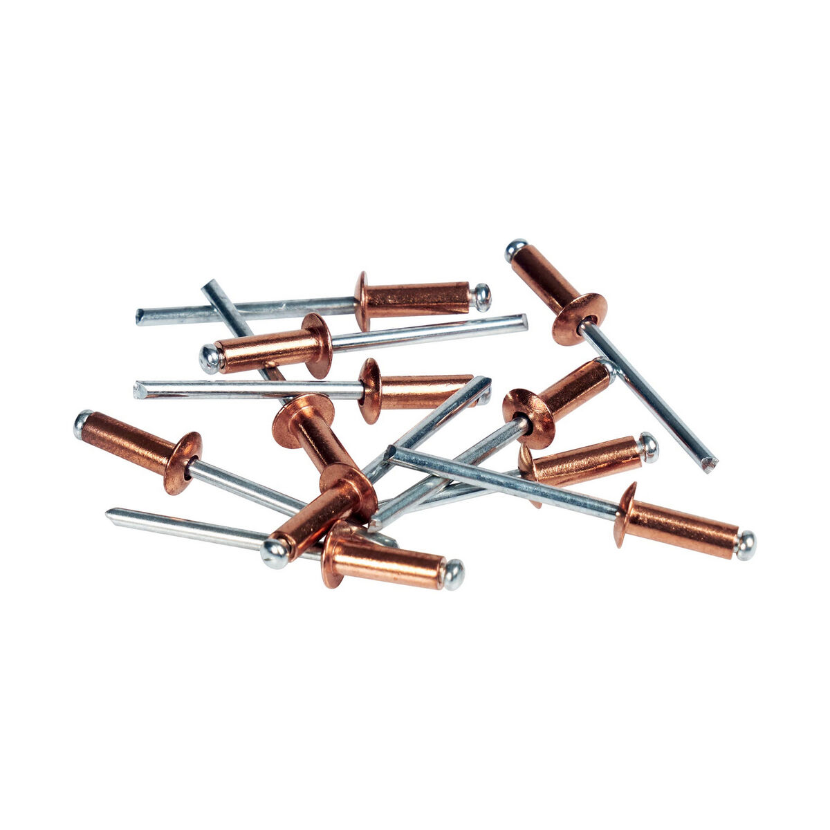Rivetto Rapid 5001467 Punta da trapano Ø 4,8 x 12 mm Rame Alluminio (50 Unità) 5 S7918132_3