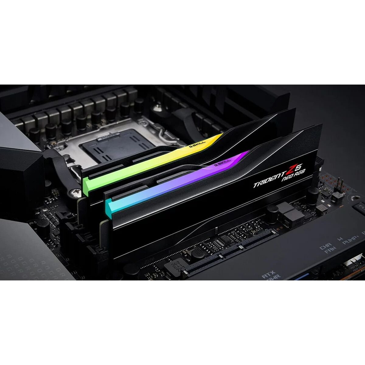 Memoria RAM GSKILL F5-8000J4048G24GX2-TZ5NR 5 S91110442_3