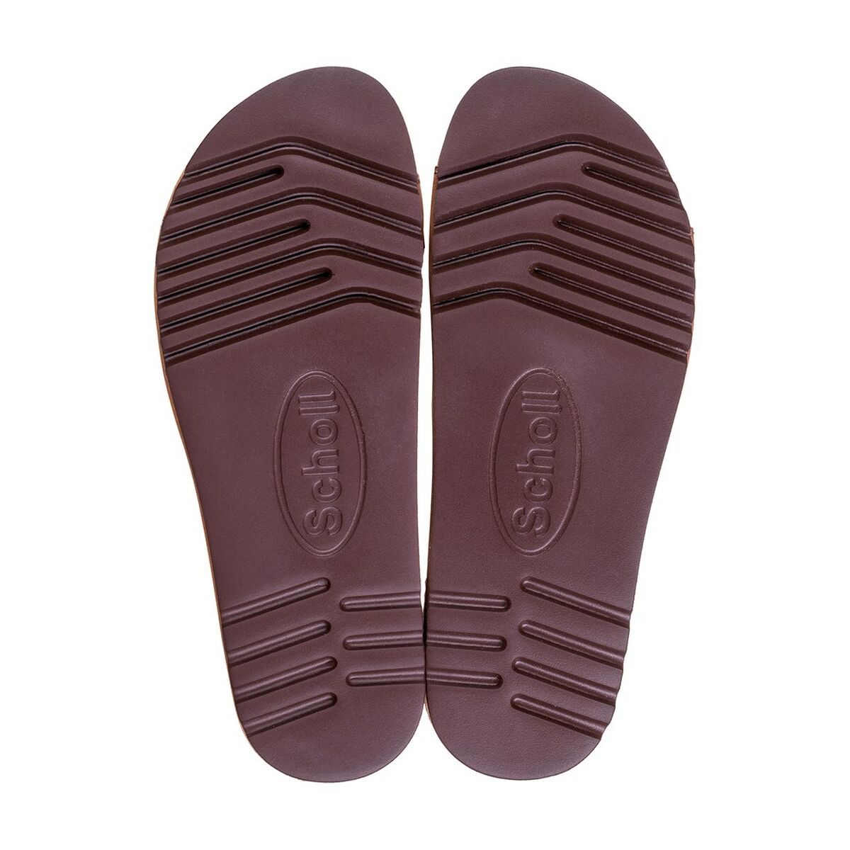 Ciabatte Scholl PRS014BEZ44 6 S91104856_4
