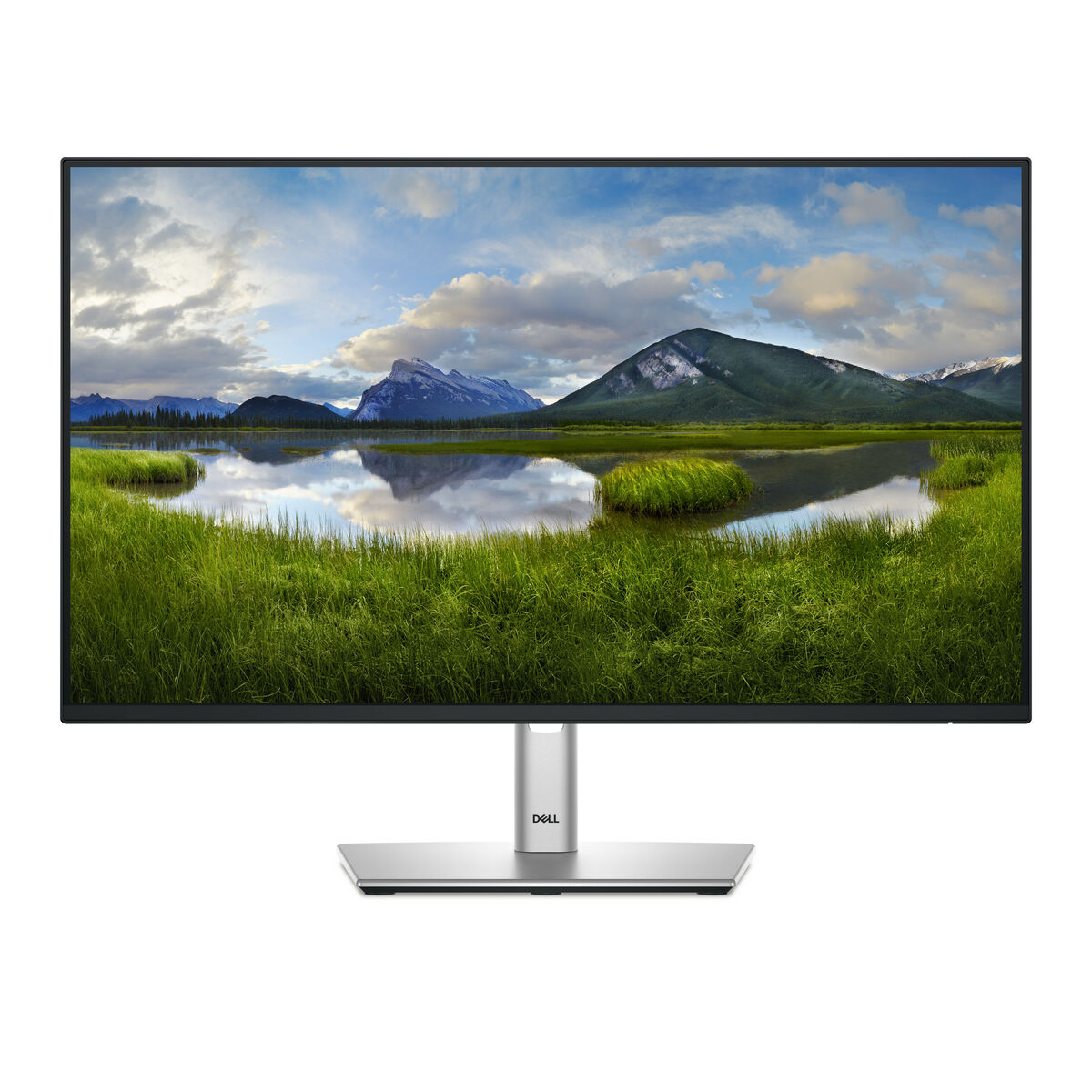 Monitor Dell P P2425HE Full HD 24" 100 Hz 2 S9190325_0
