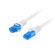 Cavo di Rete Rigido UTP Categoria 6 Lanberg PCF6A-10CC-0050-S Grigio 50 cm 1 S9131382_0
