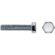 Scatola a viti CELO M8 x 30 mm 8 x 30 mm Filettatura metrica 100 Unità Zincato 1 S7903152_0