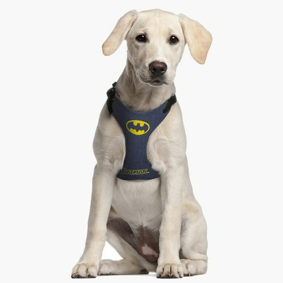 Imbracatura per Cani Batman XXS/XS Azzurro 8 S0725821_6