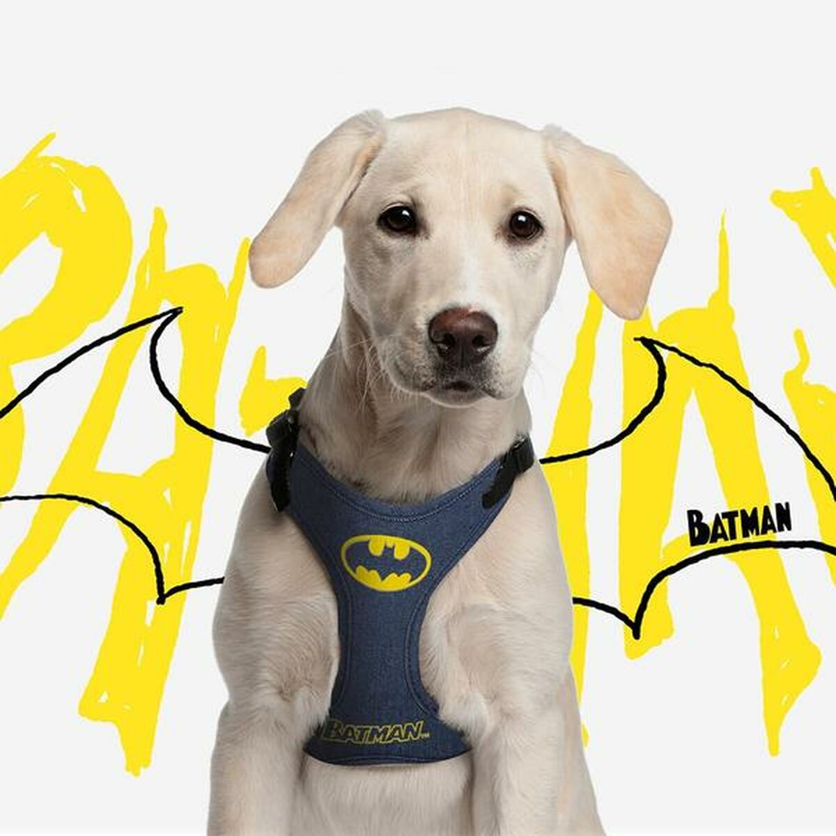 Imbracatura per Cani Batman XXS/XS Azzurro 10 S0725821_8