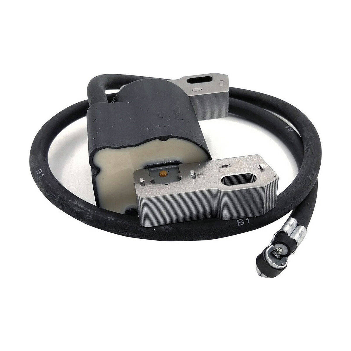 Batteria Pastormatic Vicino 15 x 9 x 10 cm 5 S7918066_3