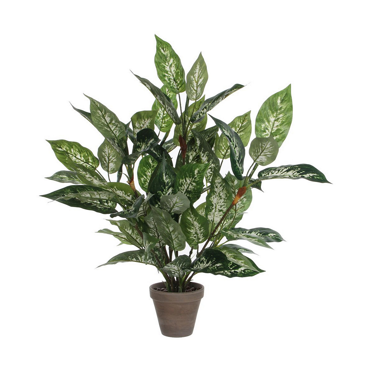 Pianta Decorativa Mica Decorations Dieffenbachia Dieffenbachia Verde PVC (15,7 x 70 cm) 2 S7901878_0