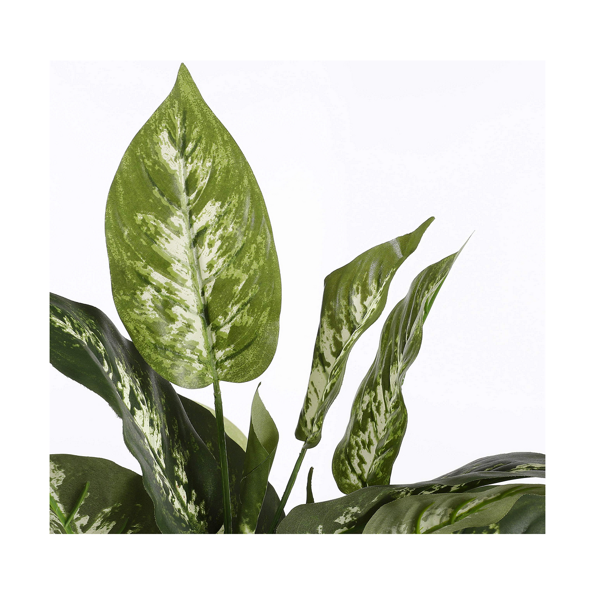 Pianta Decorativa Mica Decorations Dieffenbachia Dieffenbachia Verde PVC (15,7 x 70 cm) 3 S7901878_1