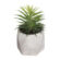 Pianta Decorativa Atmosphera 7 x 14 cm Verde PVC 1 S7902145_0