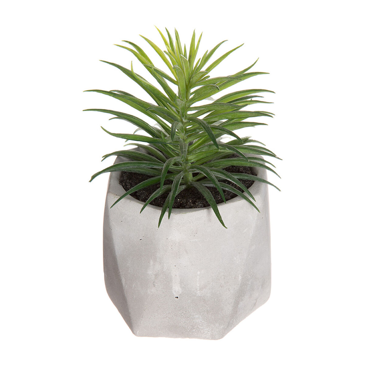 Pianta Decorativa Atmosphera 7 x 14 cm Verde PVC 2 S7902145_0