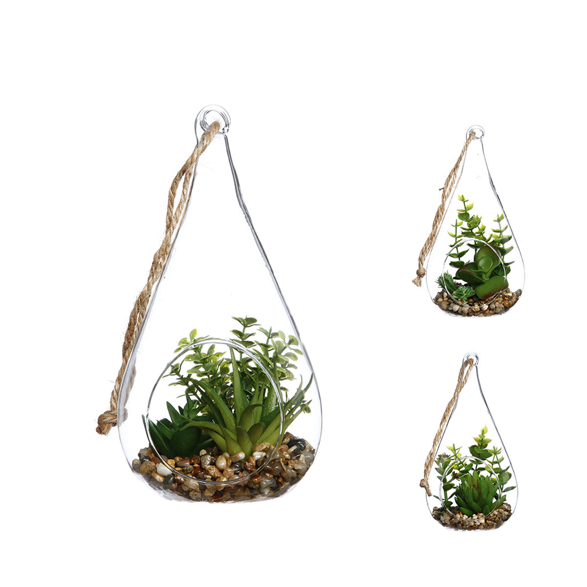 Pianta Decorativa Atmosphera 10 x 19,5 cm Cristallo Verde 2 S7902144_0