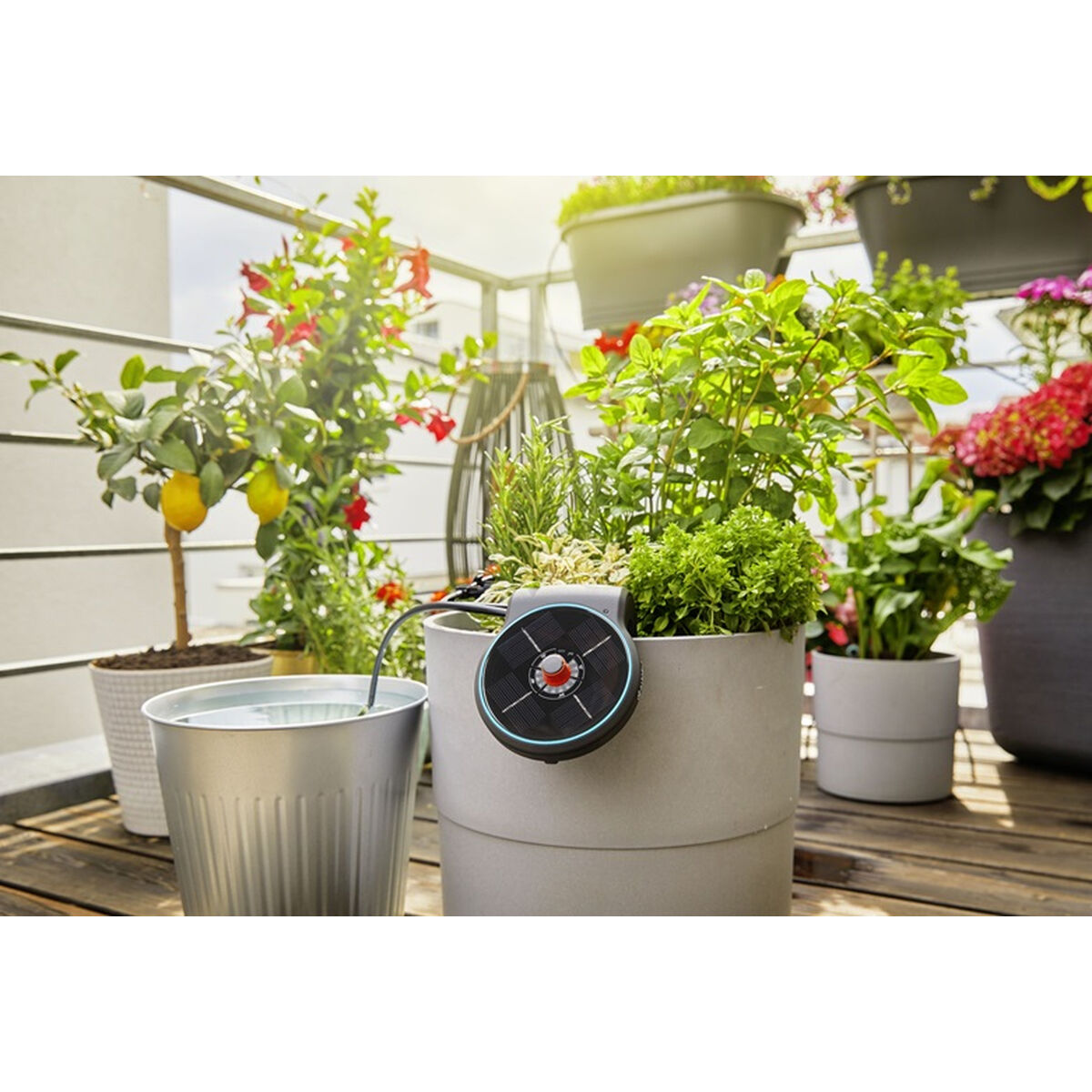Sistema di Irrigazione a Goccia Automatico per Vasi Gardena Aquabloom 5 S7910772_3