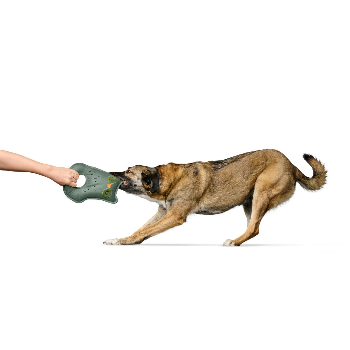 Giocattoli per cani Hunter Tough Tundra Verde Gufo 3 S6105184_1