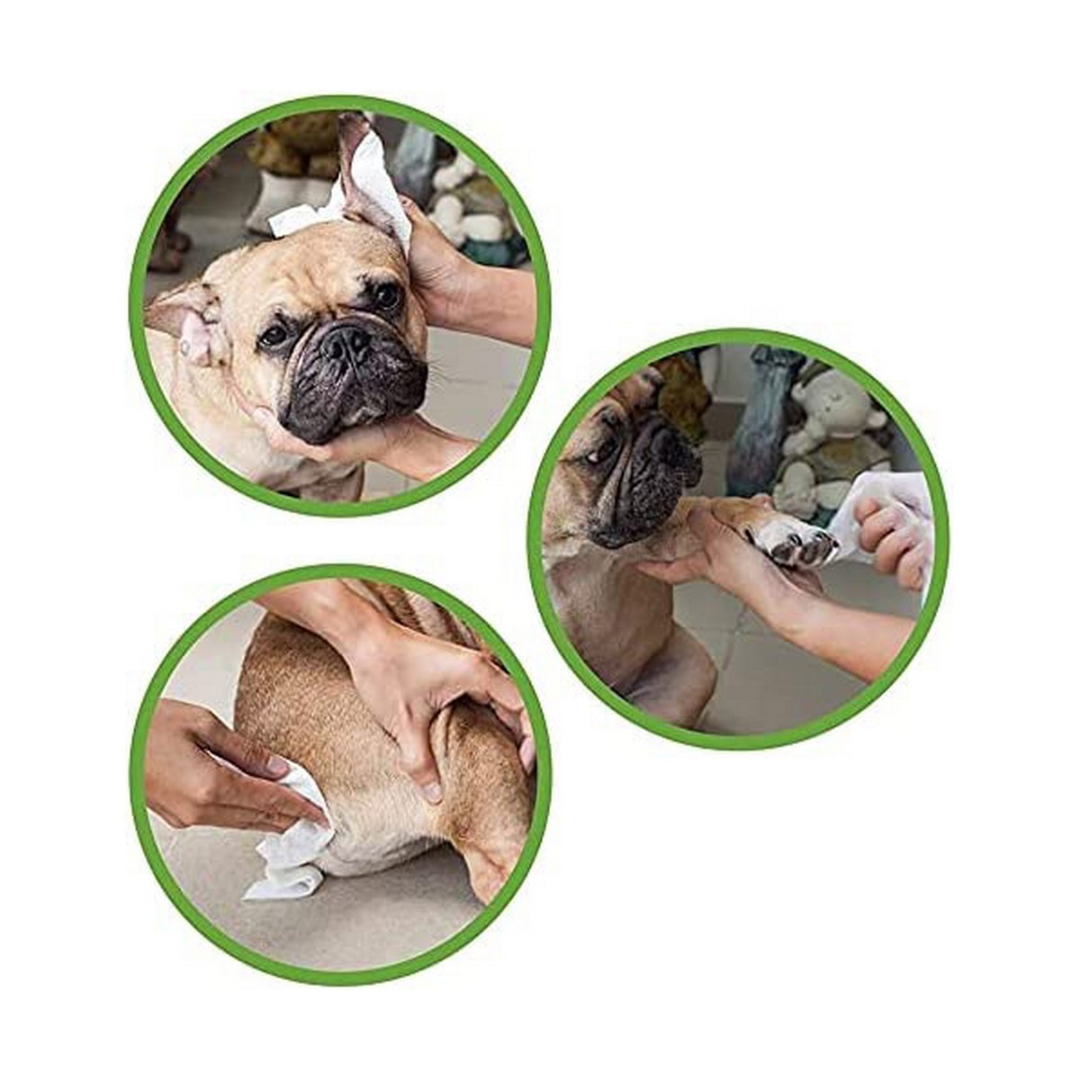 Salviettine Inumidite per Animali Domestici GILL'S XL 30 x 20 cm 40 Unità 4 S7909537_2